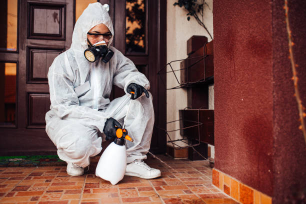 Reliable Bed Bug Control contractor in Eastpointe, MI by Nex Pest Control